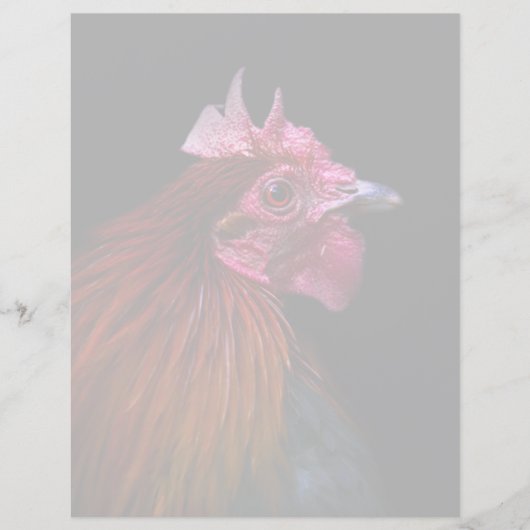 Farms | Rooster Head Shot (Front)