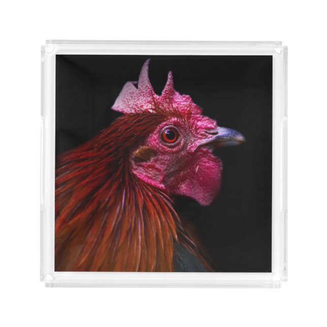 Farms | Rooster Head Shot Acrylic Tray (Front)