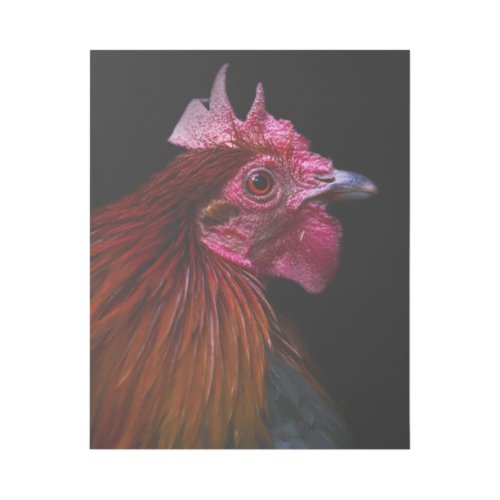Farms  Rooster Head Shot Gallery Wrap
