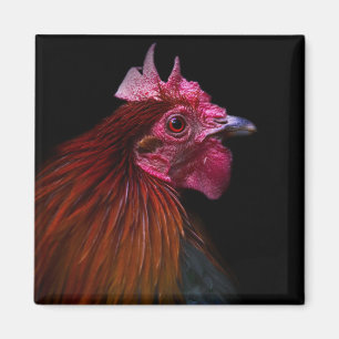 Farms Rooster Head Shot Magnet