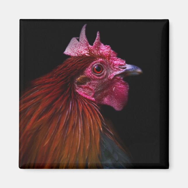 Farms | Rooster Head Shot Magnet (Front)