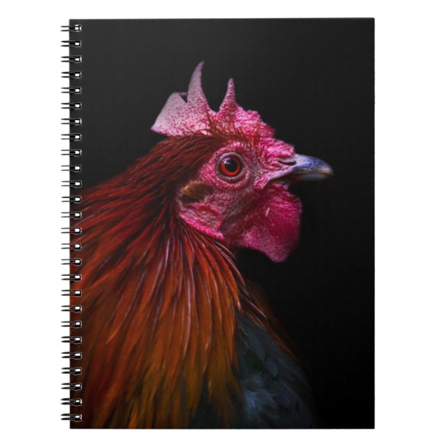 Farms | Rooster Head Shot Notebook (Front)