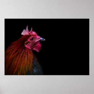 Farms Rooster Head Shot Poster