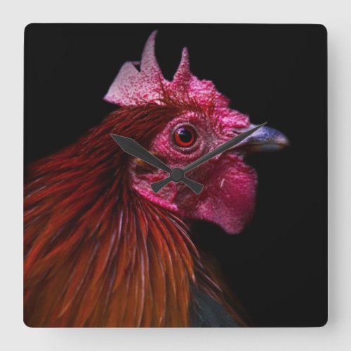 Farms  Rooster Head Shot Square Wall Clock