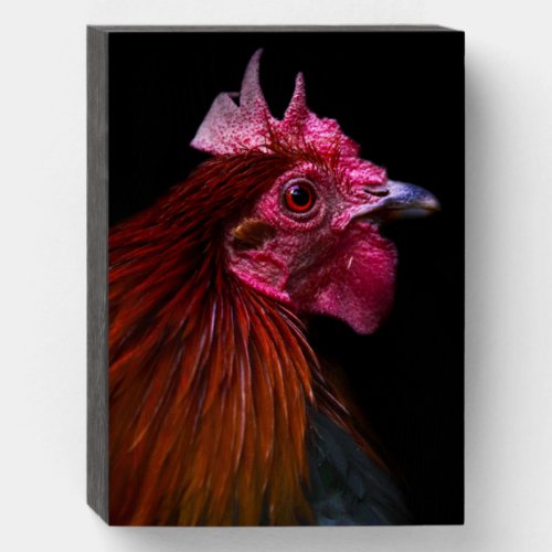 Farms  Rooster Head Shot Wooden Box Sign