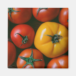 Farms Shiny Red & Yellow Tomatoes Magnet
