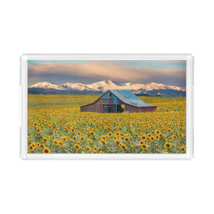 Farms Sunflower Field Acrylic Tray