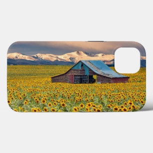 Farms Sunflower Field iPhone 13 Case
