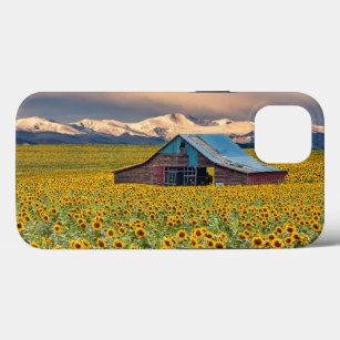 Farms   Sunflower Field iPhone 13 Case