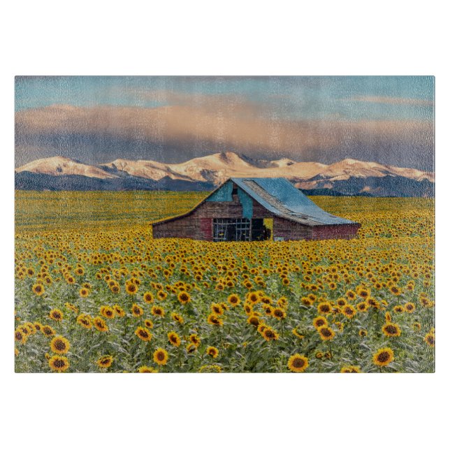 Farms | Sunflower Field Cutting Board (Front)
