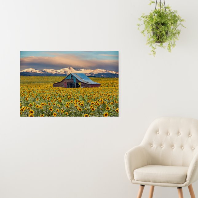 Farms | Sunflower Field Foam Board (In Situ (Wall))