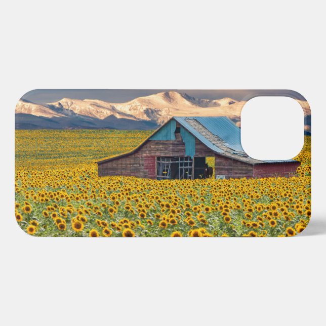 Farms | Sunflower Field iPhone Case (Back Horizontal)