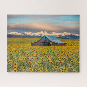 Farms Sunflower Field Jigsaw Puzzle