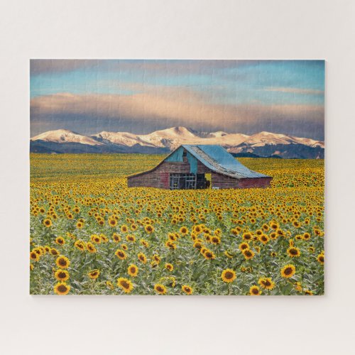 Farms  Sunflower Field Jigsaw Puzzle