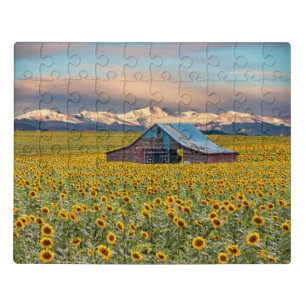 Farms Sunflower Field Jigsaw Puzzle