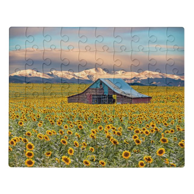 Farms | Sunflower Field Jigsaw Puzzle (Puzzle Horizontal)