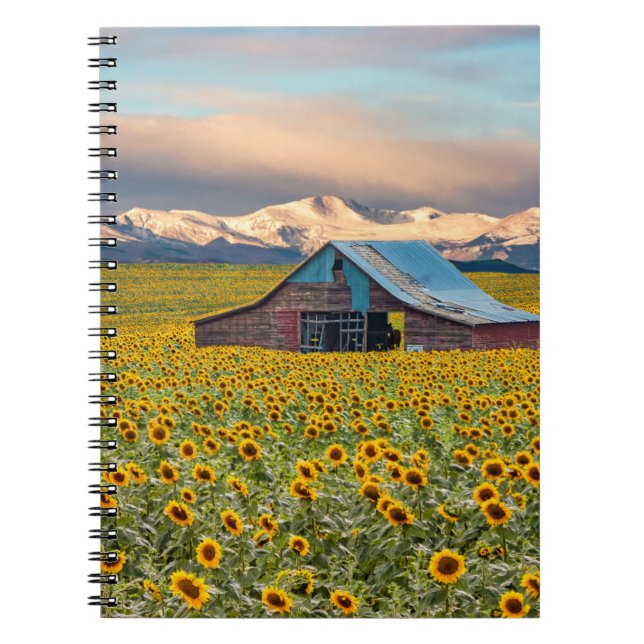 Farms | Sunflower Field Notebook (Front)