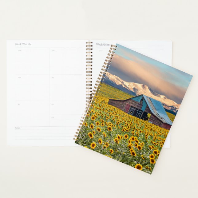 Farms | Sunflower Field Planner (Display)