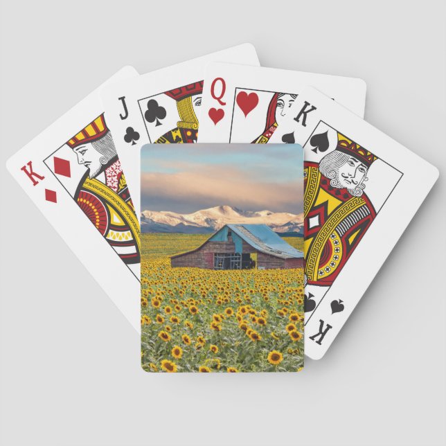 Farms | Sunflower Field Poker Cards (Back)