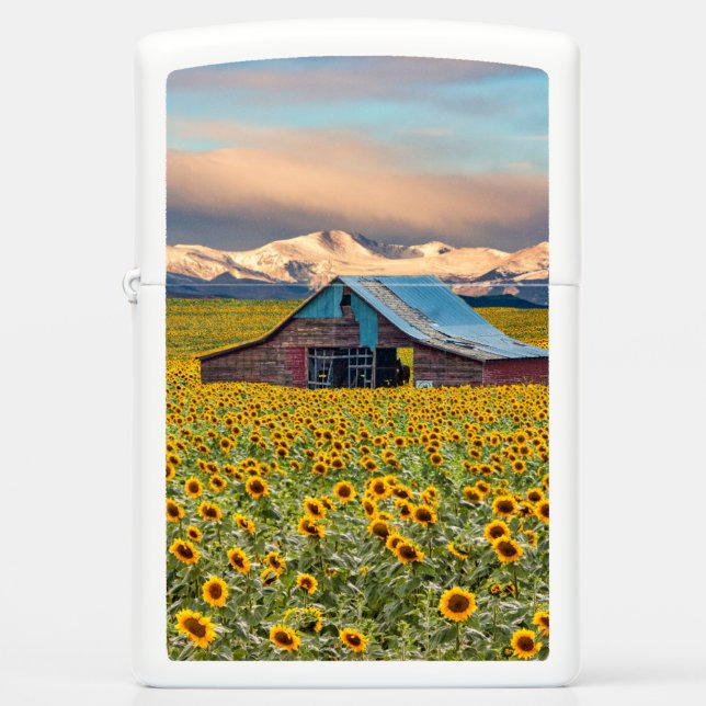 Farms | Sunflower Field Zippo Lighter (Front)