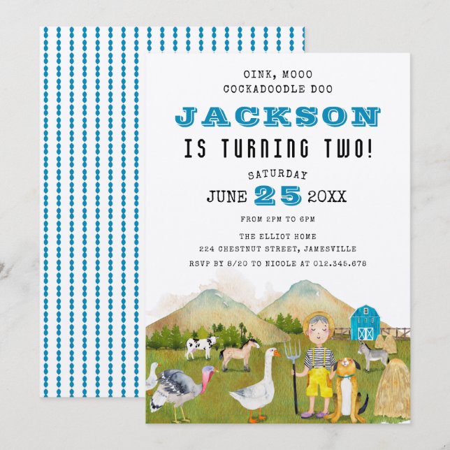 Farmyard Animals and Boy 2nd Birthday Invitation (Front/Back)