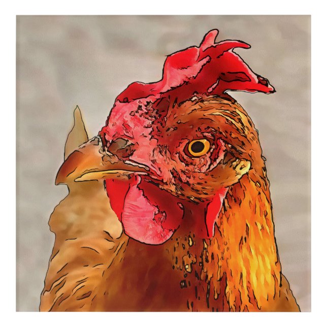 Farmyard Chicken Portrait Black Outline Art (Front)