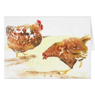 Farmyard chickens cards