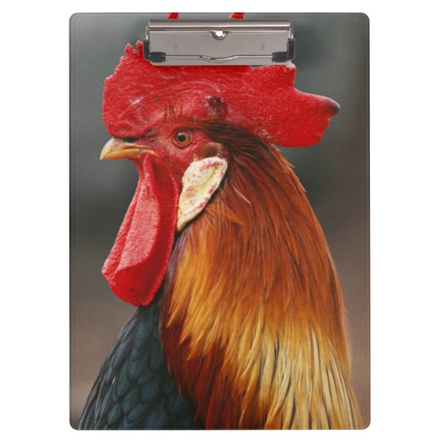 Farmyard Domestic Rooster Clipboard (Front)