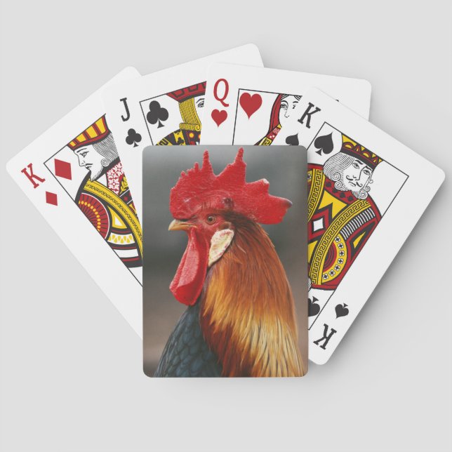 Farmyard Domestic Rooster Poker Cards (Back)