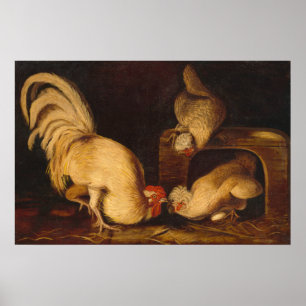 Farmyard Fowls, John James Audubon Fine Art Poster