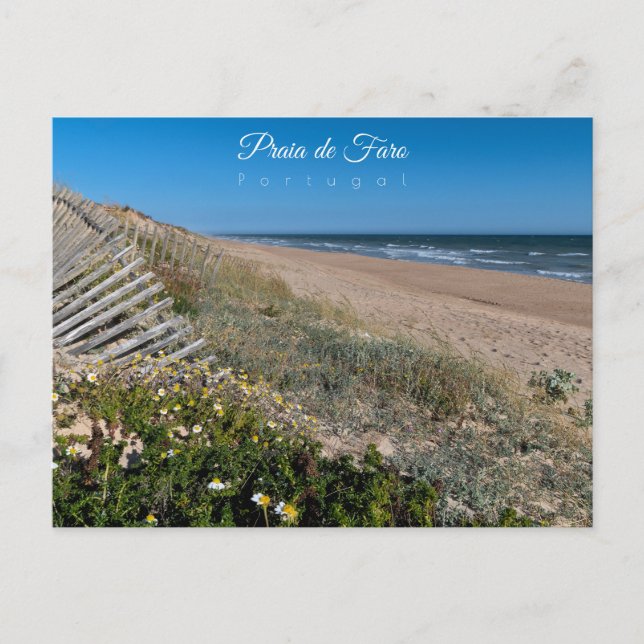 Faro Beach Dunes - Portugal Postcard (Front)