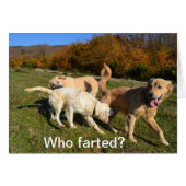 Farting (Front Horizontal)