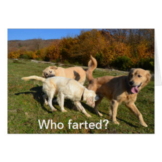 Farting Cards