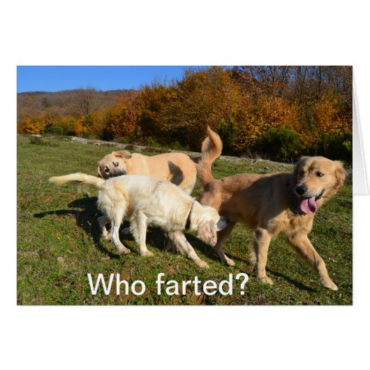 Farting Cards (Front Horizontal)