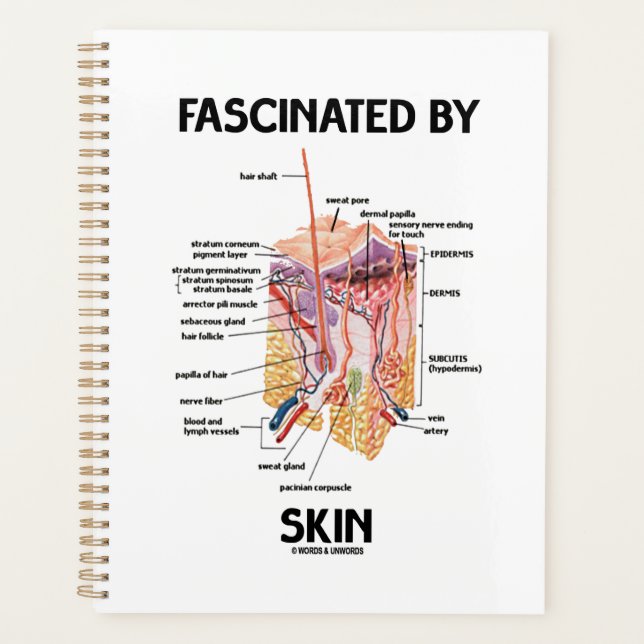 Fascinated By Skin (Anatomical Skin Layers) Planner (Front)