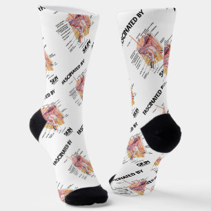 Fascinated By Skin (Anatomical Skin Layers) Socks