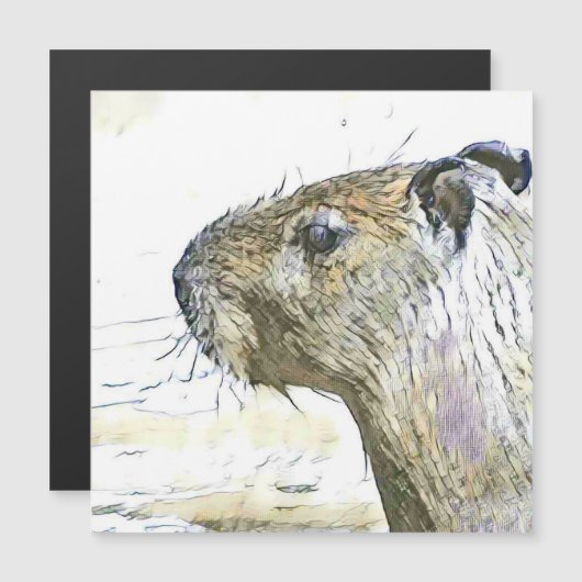 fascinating altered animals - Capybara (Front/Back)