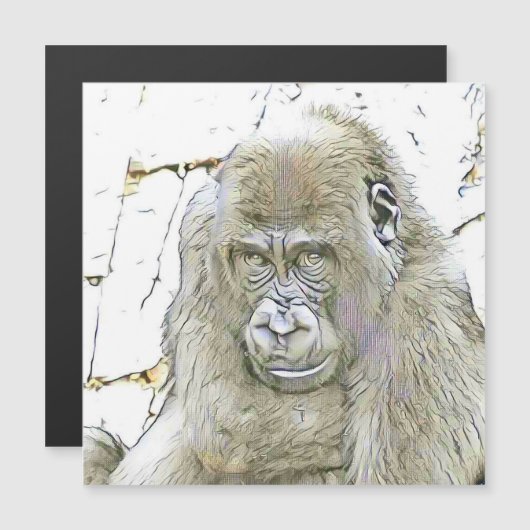 fascinating altered animals - Gorilla (Front/Back)