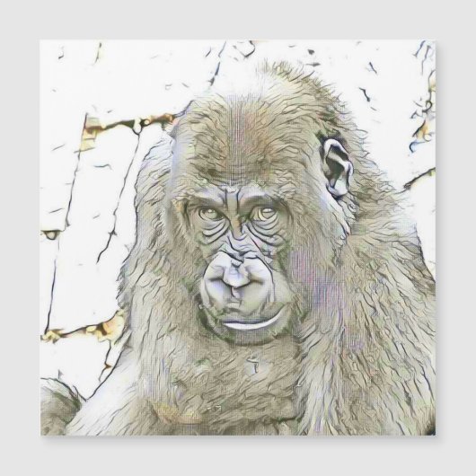 fascinating altered animals - Gorilla (Front)