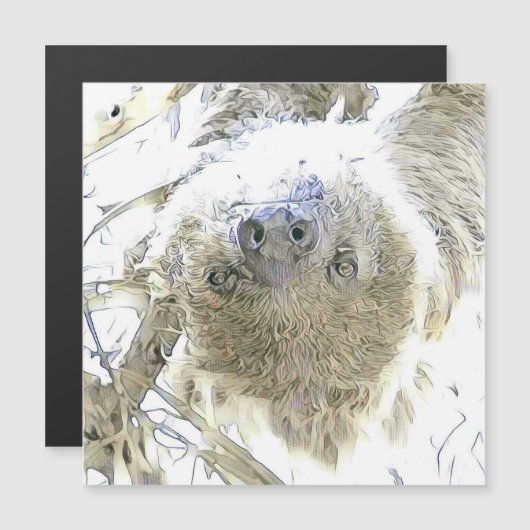 fascinating altered animals - Sloth (Front/Back)