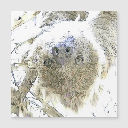 fascinating altered animals - Sloth (Front)