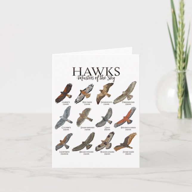 Fascinating Birds Of Prey - Types Of Hawks  Card (Front)