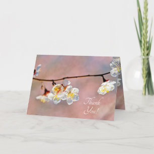 Fascinating Japanese Apricot Flowers Letterpress Thank You Card