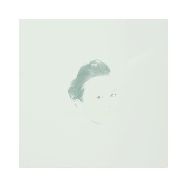 Fascinating Monochromatic Woman Face Metal Print (Front)