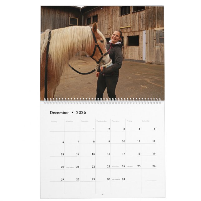 Fascination Haflinger Calendar (Dec 2026)