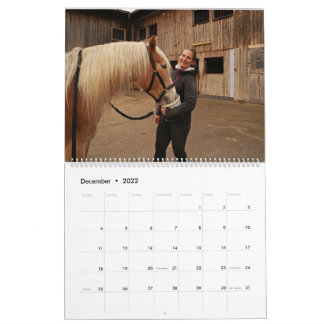 Fascination Haflinger Calendar