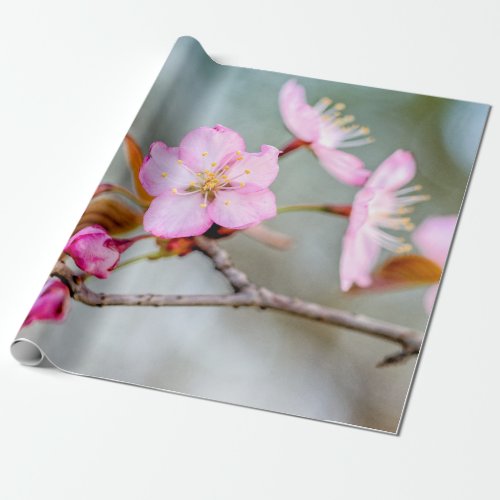 Fascination Of Sakura Flowers Wrapping Paper