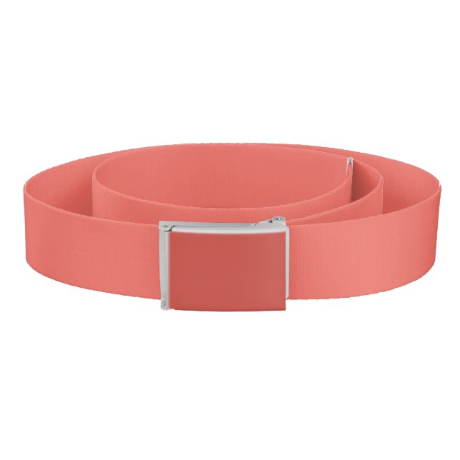 Fashion Belt (Coil)