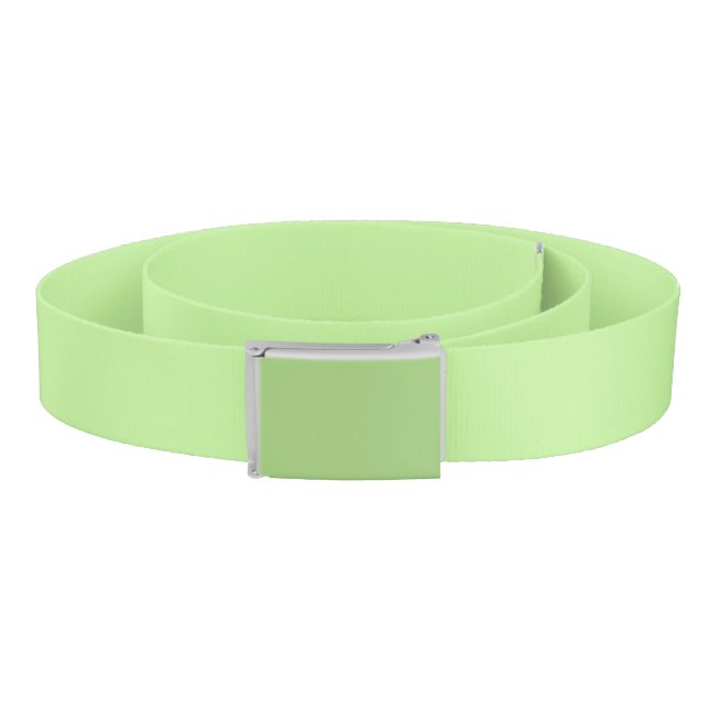 Fashion Belt (Coil)