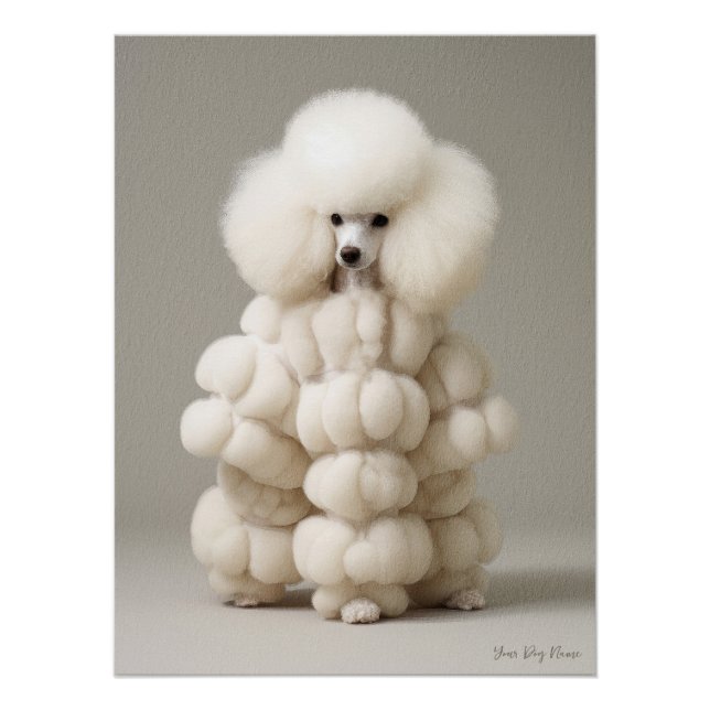 Fashion Show, Poodle Dog 02 - Jonathan Bonheur Poster (Front)